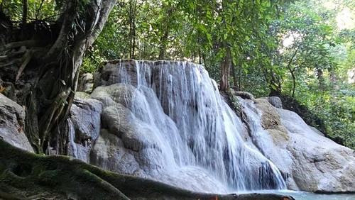 Kenapa Setiap Orang Perlu Memulai Hari dengan Smart Daily Journal